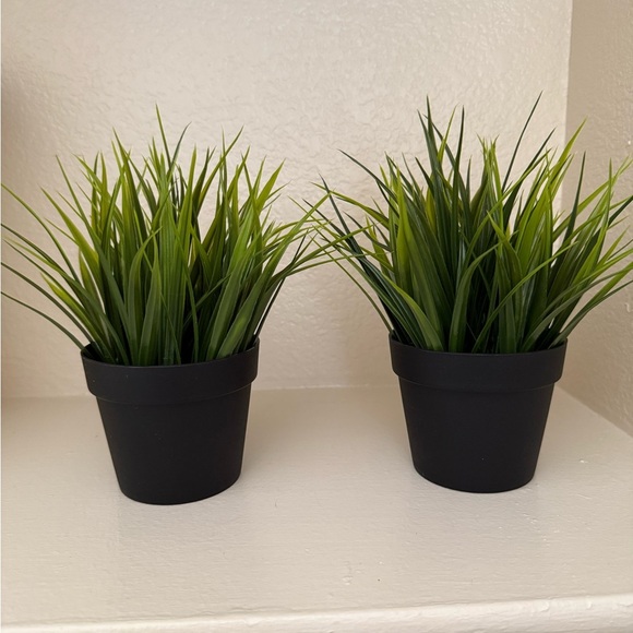 Green grass faux Plant in Black Pot - Set of 2 - Picture 2 of 3